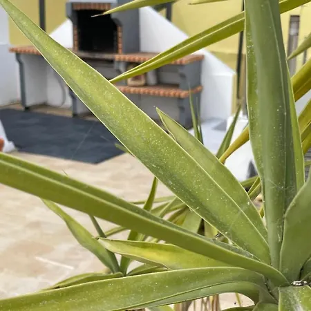Ferienhaus Do Sol